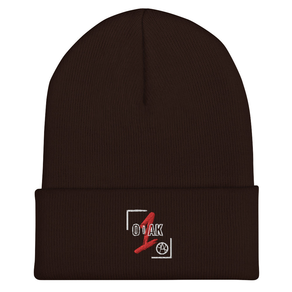 Cuffed Beanie