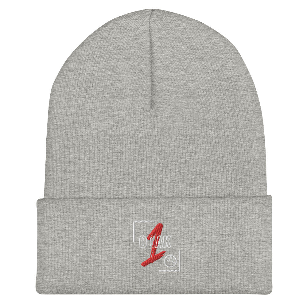 Cuffed Beanie