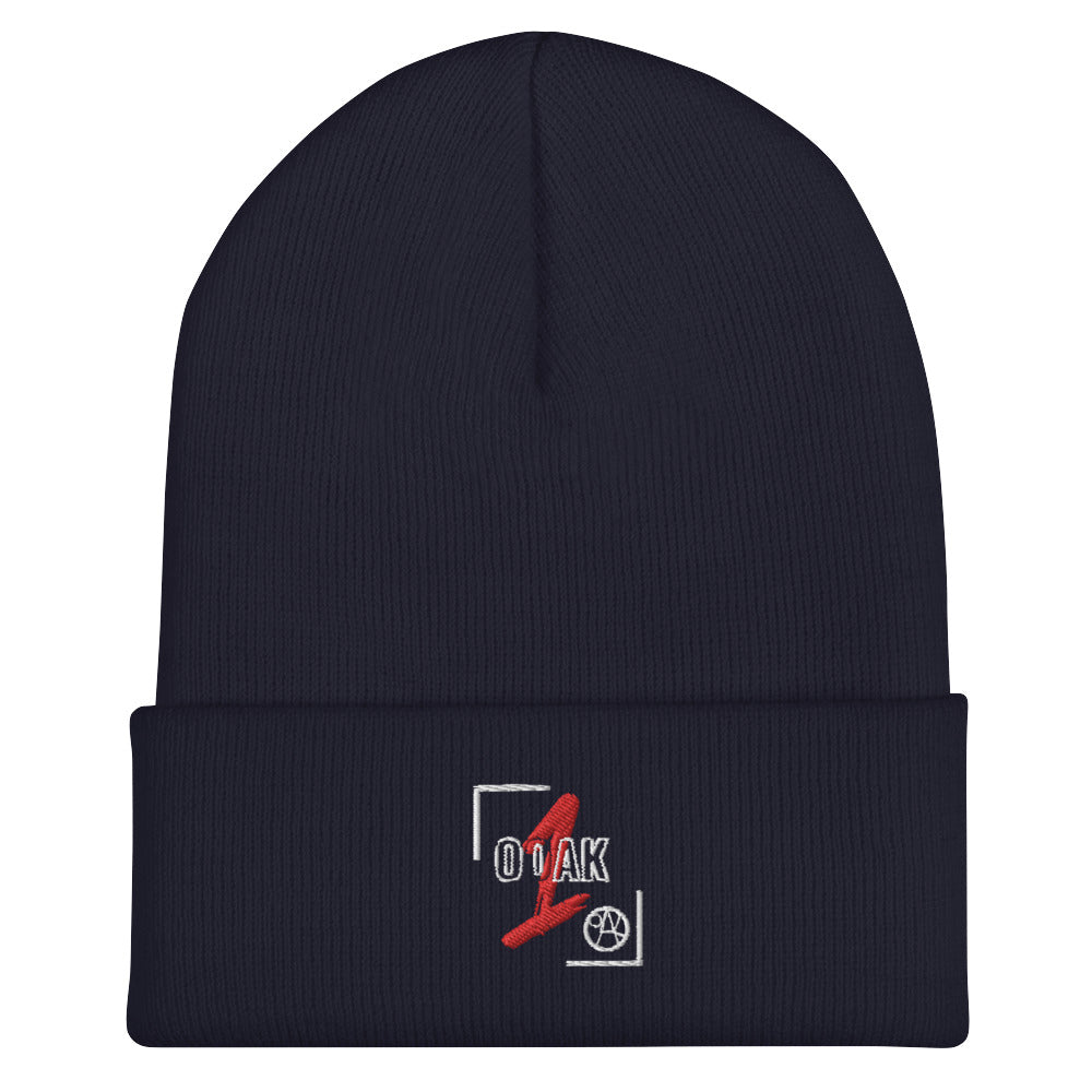 Cuffed Beanie