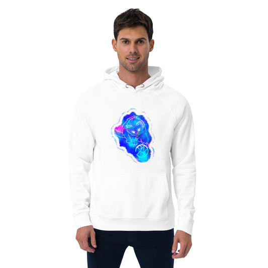 Unisex eco raglan hoodie